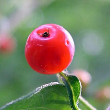 Utkarsh Test Mentor 1